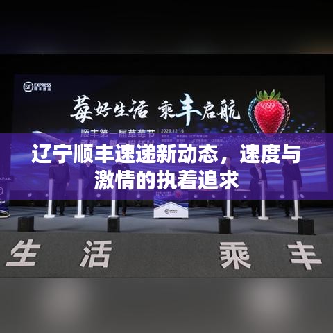 辽宁顺丰速递新动态，速度与激情的执着追求