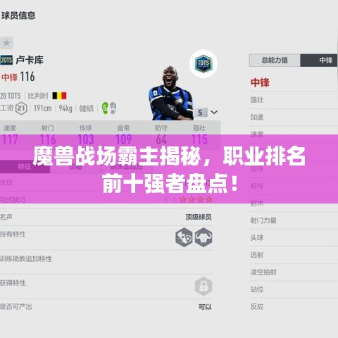 魔兽战场霸主揭秘，职业排名前十强者盘点！