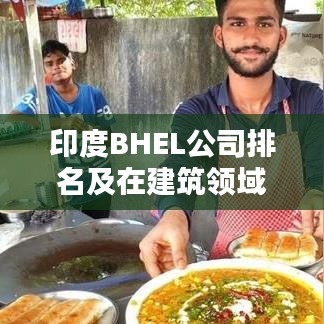 印度BHEL公司排名及在建筑领域的霸主地位