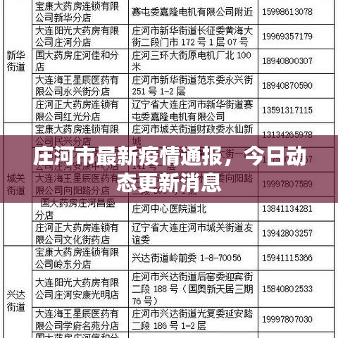 庄河市最新疫情通报，今日动态更新消息