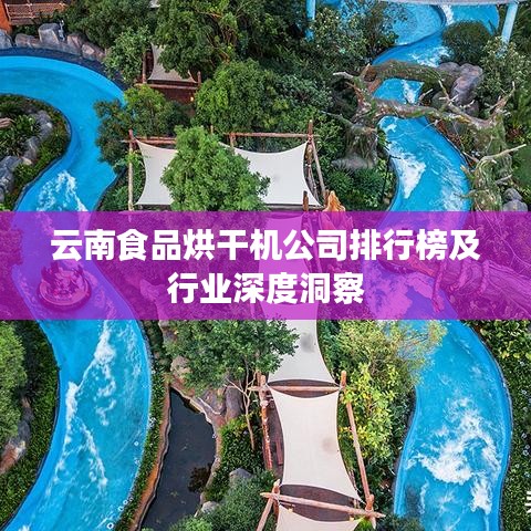 云南食品烘干机公司排行榜及行业深度洞察