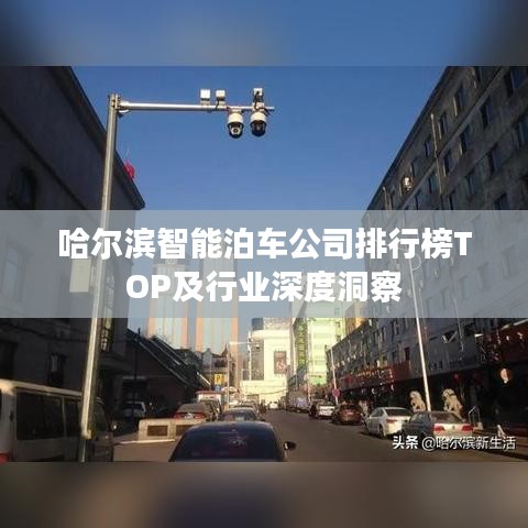 哈尔滨智能泊车公司排行榜TOP及行业深度洞察