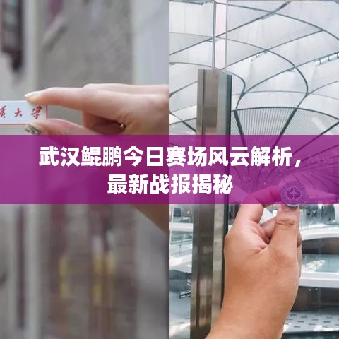 武汉鲲鹏今日赛场风云解析，最新战报揭秘