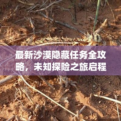 最新沙漠隐藏任务全攻略，未知探险之旅启程！