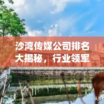 沙湾传媒公司排名大揭秘，行业领军者的成功秘诀探寻！