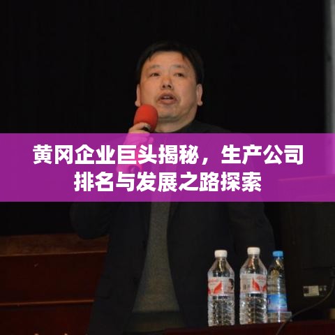 黄冈企业巨头揭秘，生产公司排名与发展之路探索