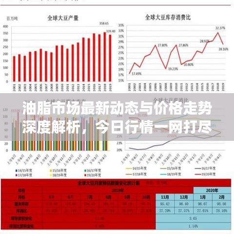 油脂市场最新动态与价格走势深度解析，今日行情一网打尽