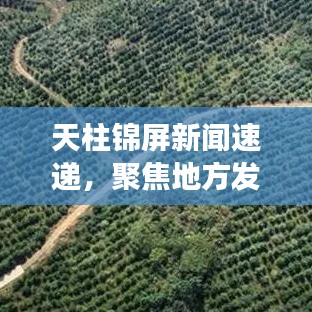 天柱锦屏新闻速递，聚焦地方发展，传递最新资讯动态