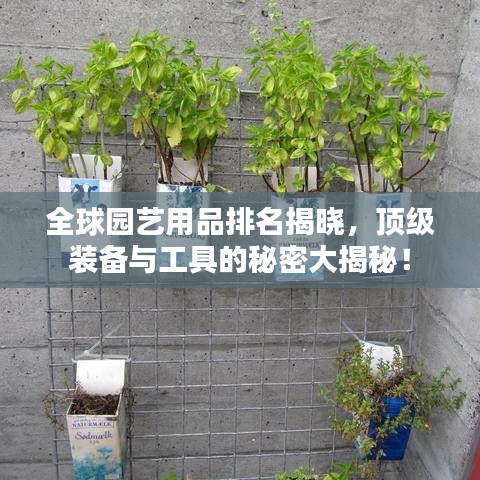 全球园艺用品排名揭晓，顶级装备与工具的秘密大揭秘！