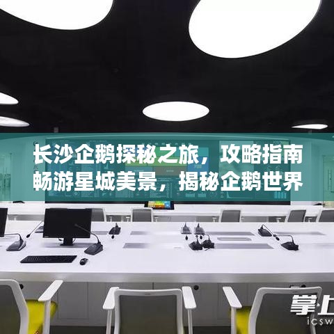 长沙企鹅探秘之旅，攻略指南畅游星城美景，揭秘企鹅世界魅力