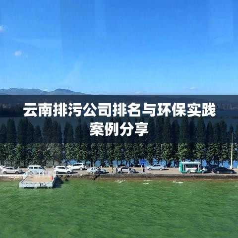 云南排污公司排名与环保实践案例分享