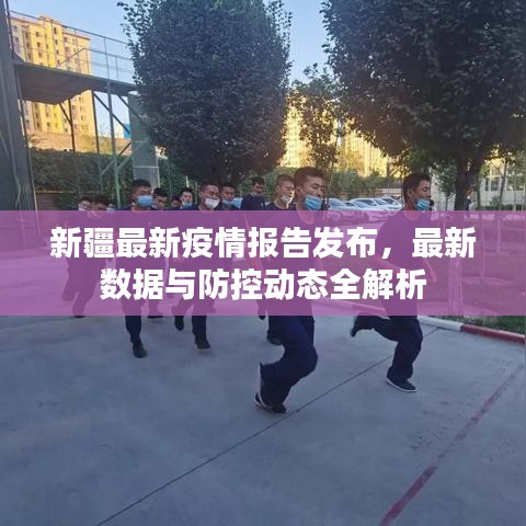新疆最新疫情报告发布，最新数据与防控动态全解析