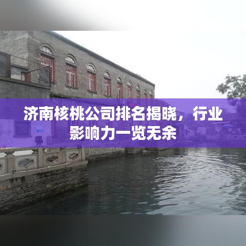 济南核桃公司排名揭晓，行业影响力一览无余