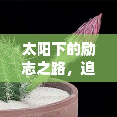 太阳下的励志之路，追逐光明的力量与信念，成就梦想之旅
