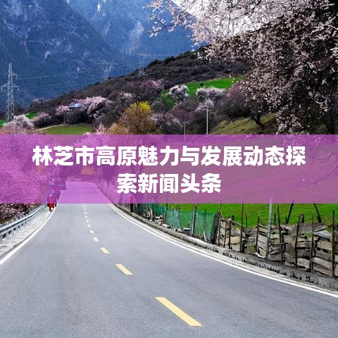 林芝市高原魅力与发展动态探索新闻头条