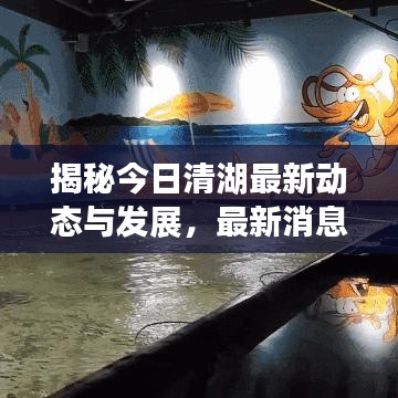 揭秘今日清湖最新动态与发展，最新消息一览