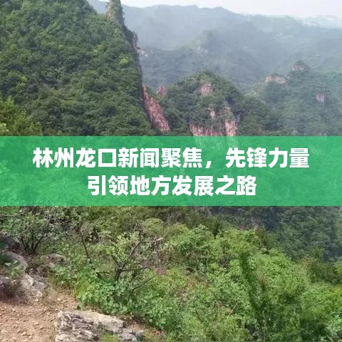 林州龙口新闻聚焦，先锋力量引领地方发展之路