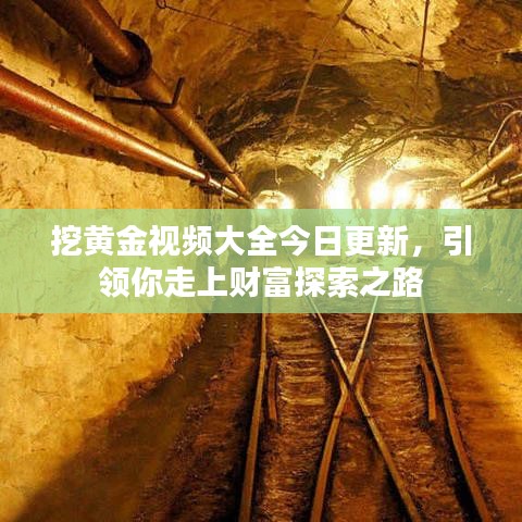 挖黄金视频大全今日更新，引领你走上财富探索之路