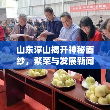 山东浮山揭开神秘面纱，繁荣与发展新闻头条全解析