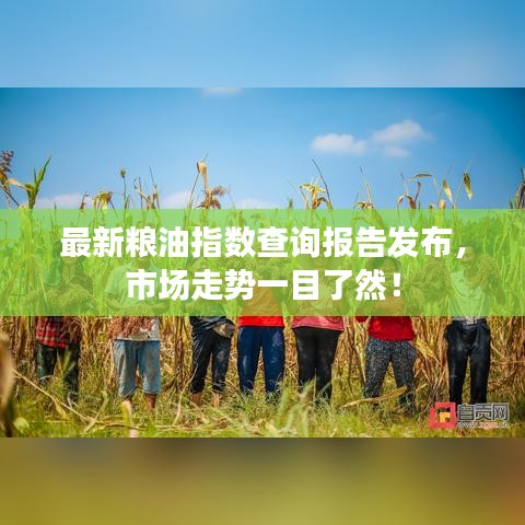 最新粮油指数查询报告发布，市场走势一目了然！