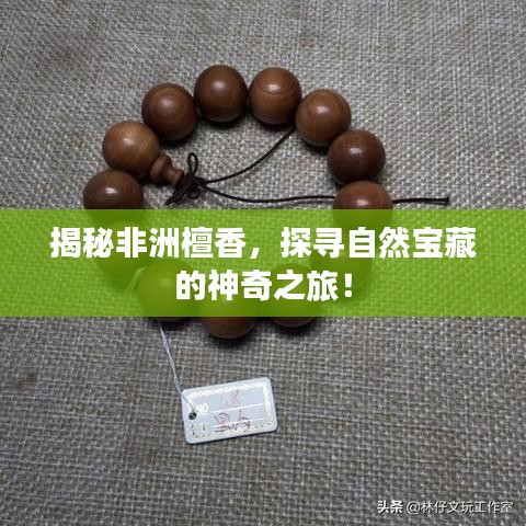 揭秘非洲檀香，探寻自然宝藏的神奇之旅！