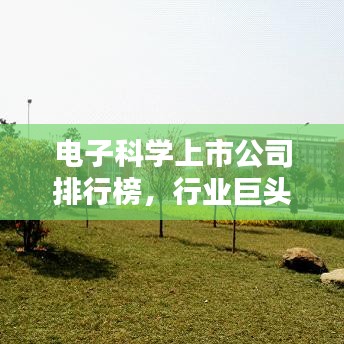 虫言鸟迹