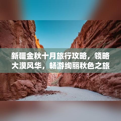 新疆金秋十月旅行攻略，领略大漠风华，畅游绚丽秋色之旅