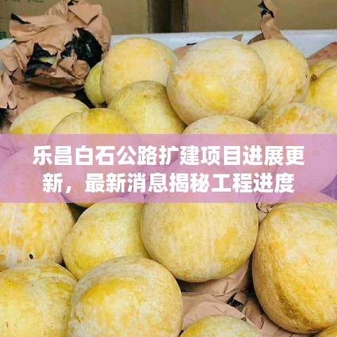乐昌白石公路扩建项目进展更新，最新消息揭秘工程进度