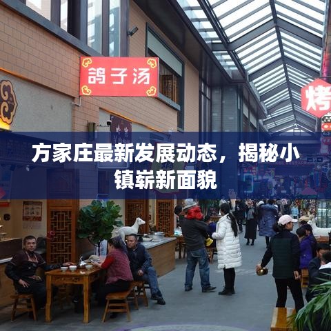 方家庄最新发展动态，揭秘小镇崭新面貌