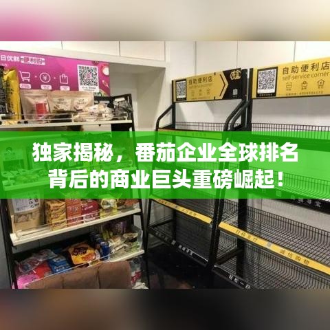 独家揭秘，番茄企业全球排名背后的商业巨头重磅崛起！