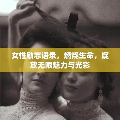寒蝉僵鸟