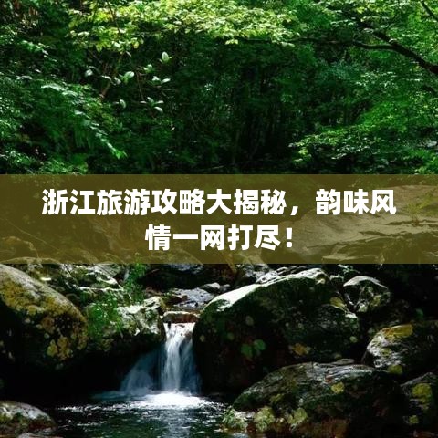浙江旅游攻略大揭秘，韵味风情一网打尽！