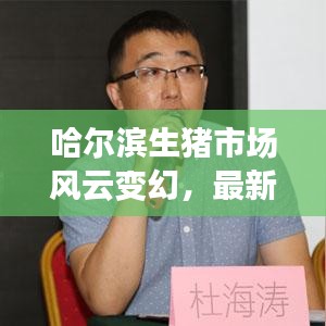 哈尔滨生猪市场风云变幻，最新新闻头条与价格动态揭秘