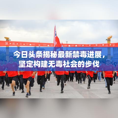 今日头条揭秘最新禁毒进展，坚定构建无毒社会的步伐