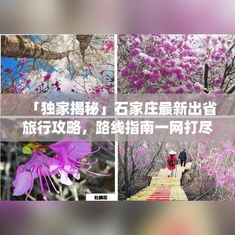 「独家揭秘」石家庄最新出省旅行攻略，路线指南一网打尽！