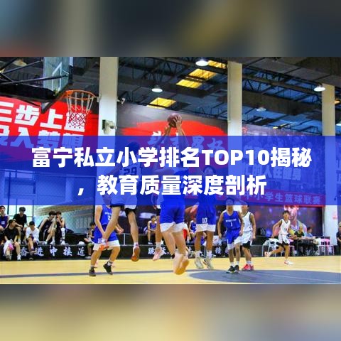 富宁私立小学排名TOP10揭秘，教育质量深度剖析