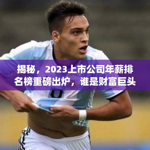 揭秘，2023上市公司年薪排名榜重磅出炉，谁是财富巨头？