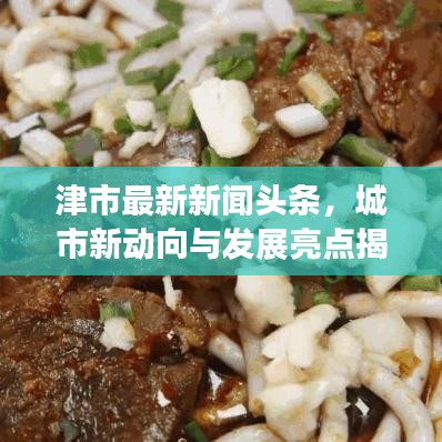 津市最新新闻头条，城市新动向与发展亮点揭秘