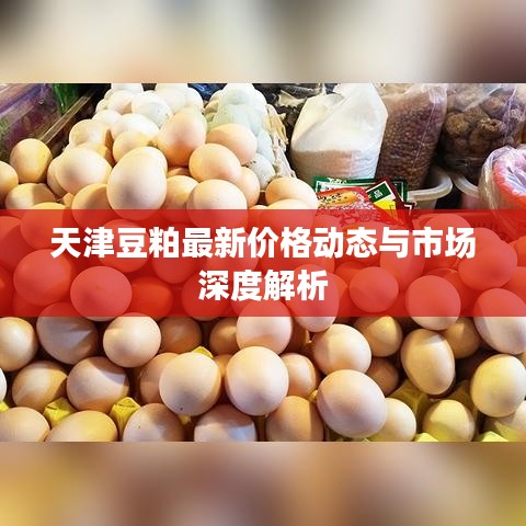 天津豆粕最新价格动态与市场深度解析