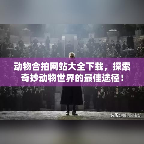 动物合拍网站大全下载，探索奇妙动物世界的最佳途径！