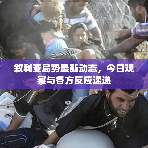 叙利亚局势最新动态，今日观察与各方反应速递