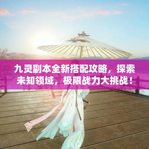 九灵副本全新搭配攻略，探索未知领域，极限战力大挑战！