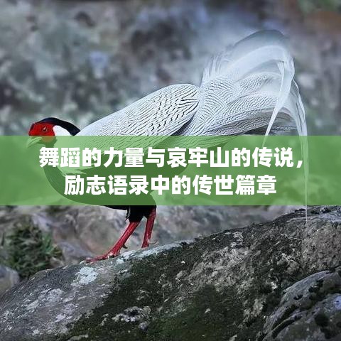 舞蹈的力量与哀牢山的传说，励志语录中的传世篇章