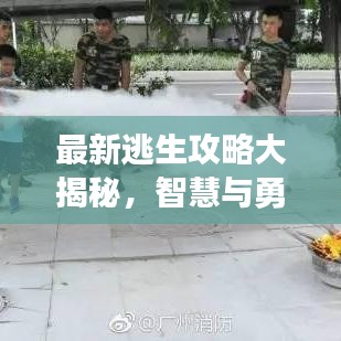 最新逃生攻略大揭秘，智慧与勇气并存，生存之道一网打尽