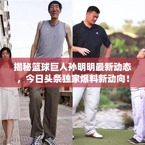 揭秘篮球巨人孙明明最新动态，今日头条独家爆料新动向！
