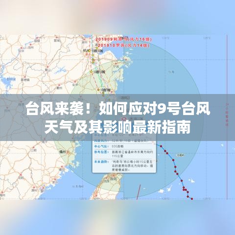 台风来袭！如何应对9号台风天气及其影响最新指南