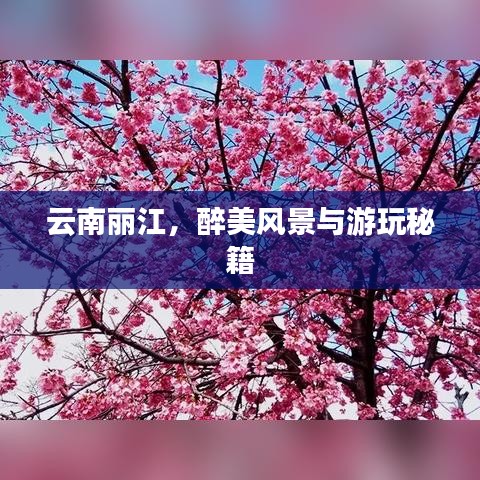 云南丽江，醉美风景与游玩秘籍