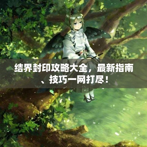 结界封印攻略大全，最新指南、技巧一网打尽！