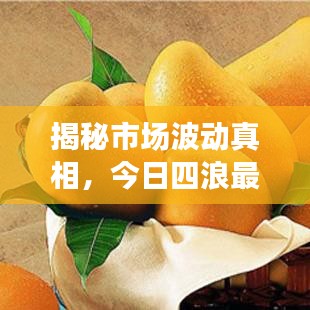 揭秘市场波动真相，今日四浪最新消息直播解析