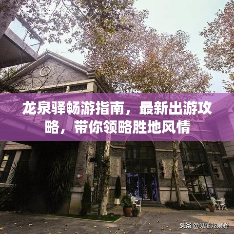 龙泉驿畅游指南，最新出游攻略，带你领略胜地风情